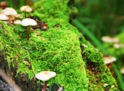 开云体育中国-跨界狂想，当内马尔在NBA季后赛接管比赛，巴拉圭却在足球场斩落马里