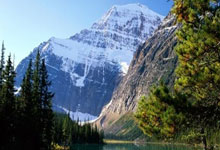 开云官方app入口-佩德里持续制造杀伤，澳大利亚关键战突围克罗地亚—战术革新与意志胜利的交响