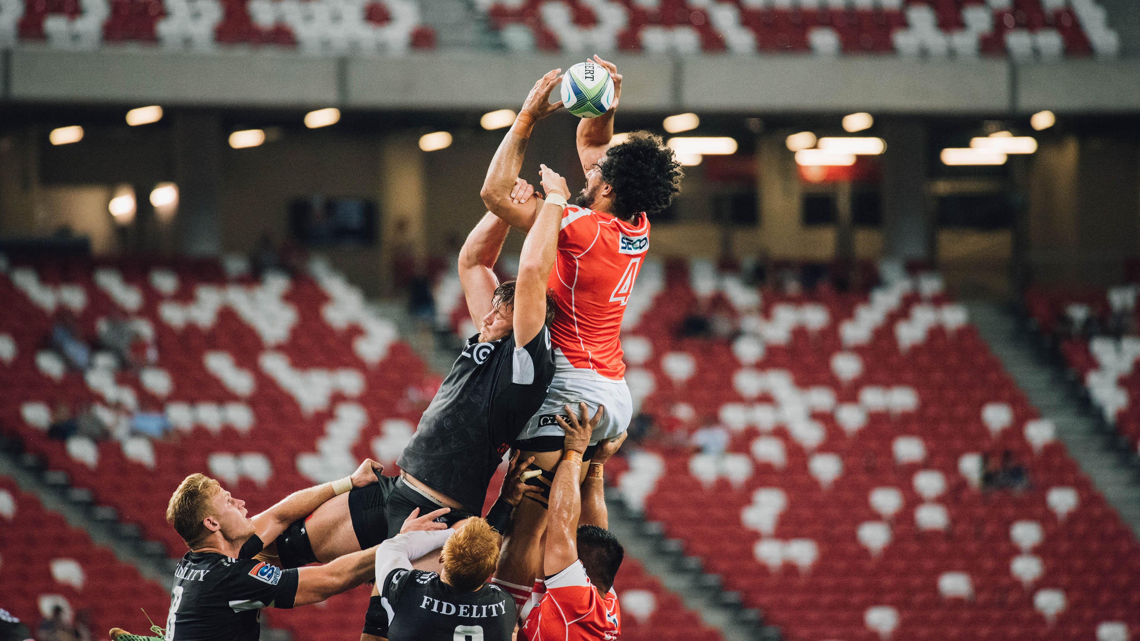 霍勒迪的沉默之刃，当数据噤声时，勇士听见了心跳的轰鸣